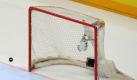 Die Fans sahen im Spiel Deutschland gegen die Schweiz einen Treffer, obwohl der Puck nicht drin war. Foto: Achim Scheidemann Foto: dpa