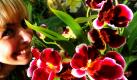 Eine Besucherin posiert in der Biosphäre in Potsdam neben Orchideenblüten. Zum Ende des kalendarischen Winters eröffnet die Biosphäre Potsdam die Sonderausstellung Orchideen Farbtupfer im Regenwald, die bis zum 25. April zu sehen sein wird.  Foto: ddp