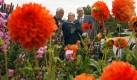 Der Ministerpräsident von Mecklenburg-Vorpommern, Erwin Sellering (rechts), Ralf Hiener, Geschäftsführer des Unternehmens Essbare Landschaften und die Chefin des Hinstorff-Verlages, Eva-Maria Buchholz, präsentieren auf dem Gelände der Bundesgartenschau Buga 2009 in Schwerin das Buch Essbare Landschaften. Der Text-Bildband stellt einmalige Landschaften und besondere Angebote rund um Essen und Trinken im nordöstlichen Bundesland vor.
 Foto: dpa