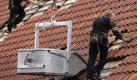Nur der Fachmann erkennt sofort Winterschäden. Foto: dpa