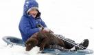 Jack Hibbard, 5, of Fairfield and his puppy 'Trooper' take a ride down the hill at William Harbin Park in Fairfield, Ohio, Thursday, Jan. 7, 2010. Most Cincinnati area schools are closed because of snow. Snow showers are expected on Friday.(AP Photo/The Enquirer, Cara Owsley) MANDATORY CREDIT. Foto: ap/The Enquirer, Cara Owsley