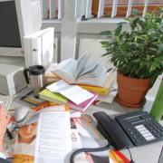 Schadstoffkiller Büropflanze (Foto)