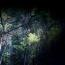 05 Amazonien (Foto)
