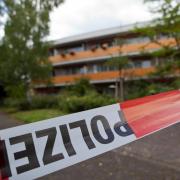 Clever, grausam, kaltblütig (Foto)