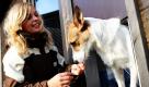 Die Dog-Sitterin Sabine Alff empfängt Hündin Lina, die im oberbayerischen Freising im Luxushundehotel Canis Resort durch die Klappe einer Lodge ins Freigehege kommt. Urlaub und exklusive Pflege - Hundehotels sind der neue Trend für Vierbeiner. Bei der Tages- und Wochenbetreuung werden die Tiere umsorgt und ihre Besitzer entlastet. Auf Wunsch gibt es auch ein individuelles Hundetraining dazu. Foto: dpa