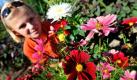 Die achtjährige Helen pflückt Blumen in einem Feld zum Selberschneiden bei Bissendorf in der Wedemark. In dem Blumenfeld können Blumenliebhaber die Sträuße selber pflücken und zusammenstellen. Die Preise richten sich nach Art und Menge der Blumen - die Bezahlung beruht auf Vertrauen, denn das Geld muss am Ausgang des Feldes in einem Behälter deponiert werden. Foto: dpa