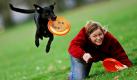 Die amtierende Deutsche Meisterin und Europameisterin im Hundefrisbee, Karin Actun, trainiert in Düsseldorf mit ihrem Mischlings-Hund Ben. Beim Hundefrisbee (auch DiscDog-Sport oder Dogfrisbee genannt) rennen und springen die Hunde einer Frisbeescheibe hinterher, die vom Besitzer geworfen wird.
 Foto: dpa