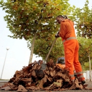 Herbstlaub (Foto)