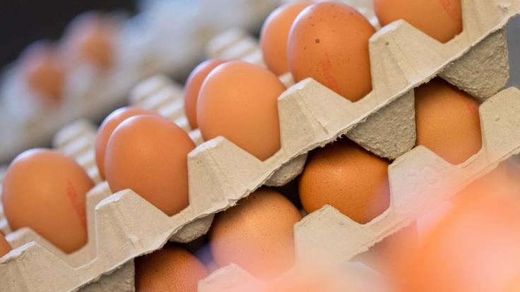 Die Sonnendorfer GmbH hat mehrere Eier-Sorten wegen möglicher Salmonellen zurückgerufen.