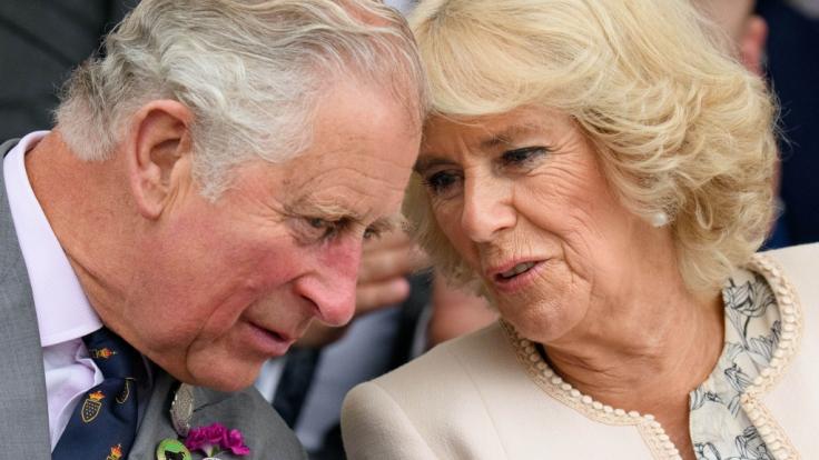 Prinz Charles und Camilla Parker Bowles haben keine gemeinsamen Kinder.