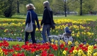 Der zweijährige Lukas wird in einem Bollerwagen von seiner Mutter und seiner Oma durch ein Tulpenfeld im Britzer Garten in Berlin gezogen. Der 90 Hektar große Park wurde zur Bundesgartenschau 1985 angelegt.
 Foto: ddp