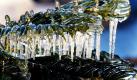 Eiszapfen hängen in Florida von Palmenblättern. Die Temperaturen sind in dem sogenannten Sunshine State unter Null Grad Celsius gefallen. Bauern befürchten einen größeren Verlust von Erdbeeren und Orangen. Foto: ap