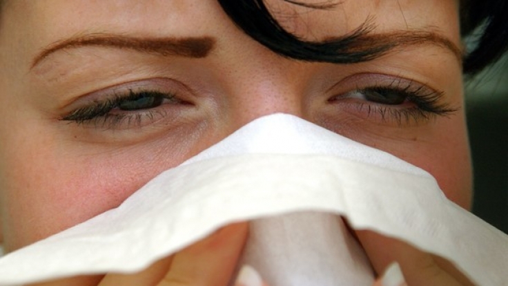 Pollen machen Heuschnupfen-Allergikern bereits im Januar zu schaffen.