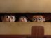 «Toy Story 3» (Foto)