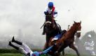 Ein gefallener Reiter versucht während eines internationalen Zusammentreffen im Steeple Chase in Cheltenham Racecourse, Großbritannien, einem Pferd aus dem Weg zu gehen. Steeple Chase, zu Deutsch Kirchturmjagd, ist in England und Irland eine verbreitete Art des Pferderennens. Foto: ap