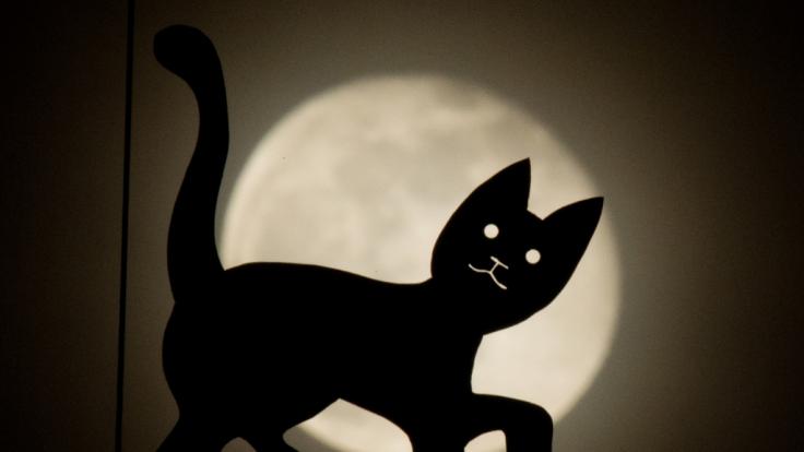 Im Februar erwartet uns der größte Vollmond des ganzen Jahres.