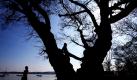 Menschen genießen am Ammersee bei Utting den Frühling. Sonnenschein und Temperaturen über 20 Grad bestimmen das Wetter in Bayern.  Foto: dpa