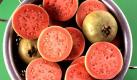 Guaven sind hierzulande eher weniger bekannt, dabei enthalten die Südfrüchte rund 300 Milligramm Vitamin C pro 100 Gramm. Geschmacklich erinnern Guaven an Birnen, Feigen oder Quitten, sind süß bis süßsauer. In Asien sind sie vor allem mit Zimt und Zucker bestreut beliebt. Foto: news.de