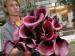 Calla (Foto)