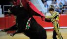 Der spanische Stierkämpfer Jose Tomas kämpft in der Arena La Monumental mit einem mächtigen Stier. Am Wochenende versammelten sich zahlreiche Zuschauer in der Stierkampfarena um dem Spektakel ein letztes Mal beizuwohnen. Ab Januar 2012 sind in der Region Katalonien Stierkämpfe verboten. Foto: dapd