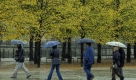 Fußgänger mit Regenschirm gehen im strömenden Regen am herbstlichen Lustgarten in Berlin vorbei. Nach starken Regenfällen in der Nacht und am Morgen soll es nach Angaben von Meteorologen am Donnerstagnachmittag wieder auflockern und die Sonne soll wieder durchkommen. Foto: ddp