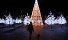 Weihnachtszauber in Kolumbien: In der Hauptstadt Bogota glitzert es an allen Ecken. Foto: ap