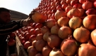 Ein Obstverkäufer in Amman, Jordanien, präsentiert seine Granatäpfel. In der Volksmedizin werden Granatäpfel gegen Verdauungsstörungen eingesetzt.
 Foto: ap