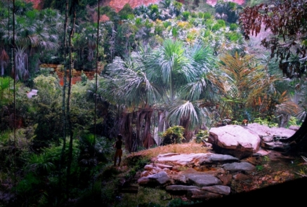 03 Amazonien (Foto)