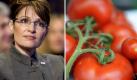 Jüngstes Opfer einer Lebensmittelattacke ist die ehemalige Vizepräsidentenkandidatin Sarah Palin. Während der Präsentation ihrer Biografie Going Rogue in Bloomington, Minnesota,  bewarf ein Mann die republikanische Politikerin mit Tomaten. Statt der Ex-Gouverneurin von Alaska traf der Mann nur einen Polizisten. Foto: dpa/ddp