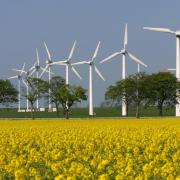 Saubere und günstige Energie (Foto)
