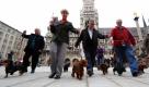 Mitglieder des Bayerischen Dachshundclubs gehen in München vor der Pressekonferenz des Vereins zu Münchens Lieblingshund über den Marienplatz. Laut Bayerischem Dachshundclub wird der Dackel immer beliebter, die Zahl der Dackelwelpen ist in Südbayern seit 2008 wieder ansteigend. Foto: dpa
