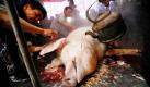 Ein totes Schwein wird vor dem La Phu Fest im gleichnamigen Dorf in Vietnam gewaschen. Die lokale Tradition gibt vor, die Tiere nach ihrem Tod zu dekorieren und sie am dreizehnten Tag des ersten Monats des Mondkalenders durch das Dorf zum Tempel zu tragen. Nach dem Fest teilen die Bewohner des Ortes das Schweinefleisch untereinader auf. Foto: dpa