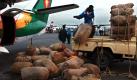 Ein Mann verlädt am 08.07.2003 eine Ladung Khat-Blätter am Flughafen von Nairobi. Im Osten Afrikas befindet sich eines der größten Khat-Anbaugebiete des Kontinents. Die hellgrünen Schösslinge der Pflanze werden als Aufputschmittel gekaut und haben sich in der letzen Zeit enorm verbreitet. Da der Kilopreis für Kaffee, dem eigentlichen Produktionsgut der Region, auf 14 Cent gesunken ist, sind viele der Bauern auf den lukrativeren Khat-Anbau umgestiegen: Foto: Stephen Morrison dpa (zu dpa KORR:'Immer mehr äthiopische Bauern bauen Khat-Droge statt Kaffee an' vom 13.10.2004')


 Foto: dpa