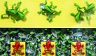Aus farbigem Papier gefaltete Frösche gehören zur Origami-Arbeit von Annett Deppe mit dem Titel Das Märchenland sucht den Pop-Frosch, aufgenommen in der Galerie Hinter dem Rathaus in Wismar. Die Ausstellung Farfalla zeigt ab heute Werke der traditionellen japanischen Papierfaltkunst.  Foto: dpa