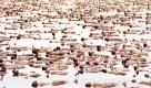 Etwa 1000 nackte Menschen haben am Strandabschnitt  «Mineral Beach» des Toten Meeres für den US-Fotografen Spencer Tunick posiert. Tunick will mit der Aktion «Nacktes Meer» auf die zunehmende Austrocknung des tiefsten Sees der Welt aufmerksam machen. Foto: dapd
