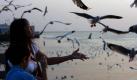 Eine Mutter füttert zusammen mit ihrem Sohn Seemöwen im thailändischen Samut Prakarn. Die Tiere kommen aus Russland und der Mongolei jeden November nach Thailand geflogen. Foto: ap