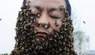 Dieser Mann hat ein stetiges Summen im Ohr: Insgesamt 33,1 Kilo Bienen sind um seinen Körper geflogen und krabbelten über seine Haut. Damit hat der Chinese She Ping einen höchst kuriosen Weltrekord errungen. Foto: dapd