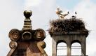 Ein Storch sitzt in Reichelsdorf bei Nürnberg mit seinem Nachwuchs auf dem Dach eines Wirtshauses. Auch in diesem Jahr ist dem Reichelsdorfer Storch wieder Nachwuchs gelungen. Seitdem der Horst vom Umweltamt der Stadt Nürnberg ausgebessert und ein Blitzableiter entfernt wurde, konnte das Storchenpaar jedes Jahr ein Storchenjunges aufziehen. Foto: ddp