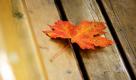 Herbst (Foto)
