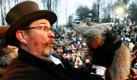 Der Schatten des Murmeltiers Punxsutawney Phil sagt voraus, wie lange die Amerikaner noch unter den winterlichen Temperaturen ausharren müssen. Sechs weitere Winterwochen sollen noch kommen - das sagt jedenfalls die Schattenlänge. Foto: dpa