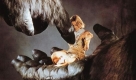Heute feiert Jessica Lange ihren 60. Geburtstag. Dass sie das als erfolgreiche Schauspielerin tun kann, ist nicht selbstverstndlich: Der Gruselstreifen King Kong des italienischen Filmtycoons Dino De Laurentiis, eine Neuauflage des Monsterklassikers von 1933, erhielt 1976 so schlechte Kritiken, dass die US-Schauspielerin drei Jahre lang keine Rollenangebote mehr bekam. Foto: Universal Pictures