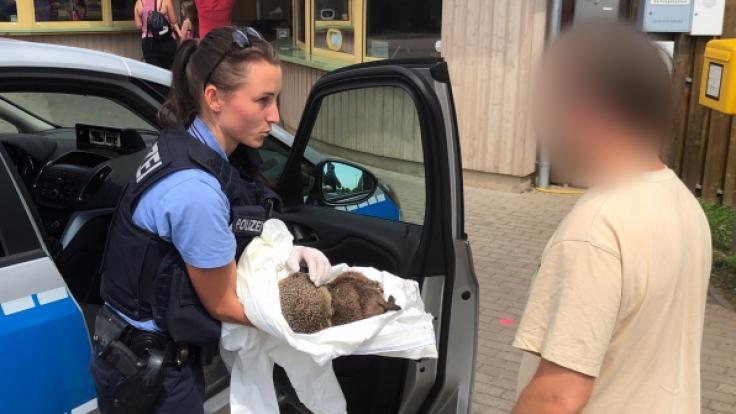 Zwei betrunkene Igel sorgten in Erfurt für einen ungewöhnlichen Polizeieinsatz.