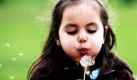 Die dreijährige Isabel pustet die Pollen einer sogenannten Pusteblume im Evergreen Nationalpark im US-amerikanischen Bundesstaat Washington in die Luft. Foto: ap