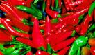 Chilis sind nicht nur scharf, sondern heizen die Immunabwehr kräftig an. Der scharfe Stoff bekämpft Krankheitserreger wirksam und regt die Verdauungsenzyme an. Obendrein sind Chilis gute Vitamin-C-Spender und enthalten gesunde sekundäre Pflanzenstoffe. Tipp: Die Kerne unbedingt entfernen.  Foto: ddp
