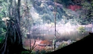 Die Eingeborenen leben im Einklang mit der Natur und holen sich ihre Nahrung unter anderem aus dem Fluss. Foto: news.de