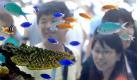 Passers-by admire tropical fish in an aquarium set up at Tokyo's Ginza shopping district on Monday, July 19, 2010. (AP Photo/Koji Sasahara)



 Foto: ap
