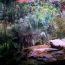 03 Amazonien (Foto)