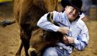 Der Kanadier Curtis Cassidy bei seinem Stier-Wrestlingkampf beim Finals Rodeo in Las Vegas. Foto: dpa