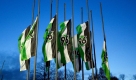 Flaggen von Hannover 96 wehen vor der AWD-Arena in Hannover auf Halbmast. Foto: dpa