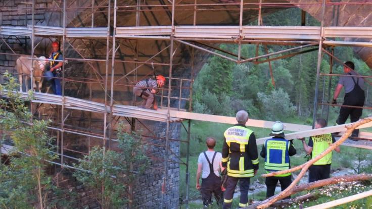 Eine Kuh, die sich auf ein Baugerüst verirrt hatte, musste von der Feuerwehr gerettet werden.